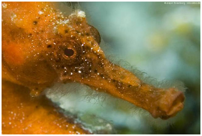 diving curacao